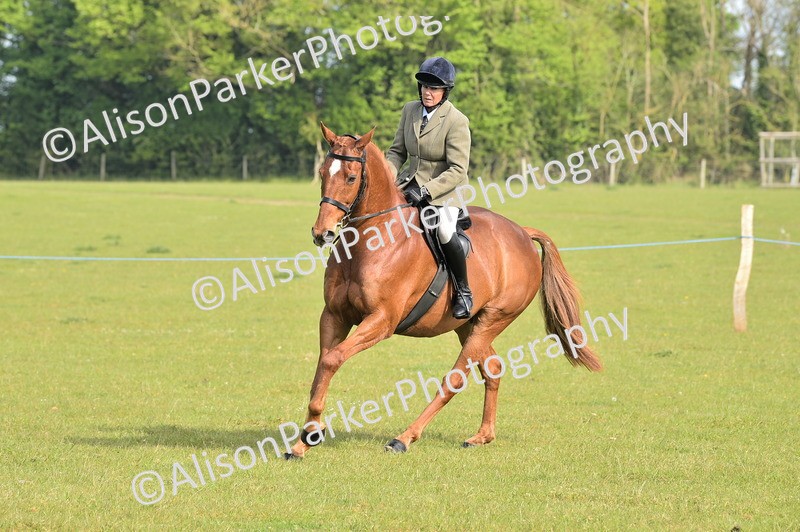 20260426-0901 - Class 18 - Novice Showing