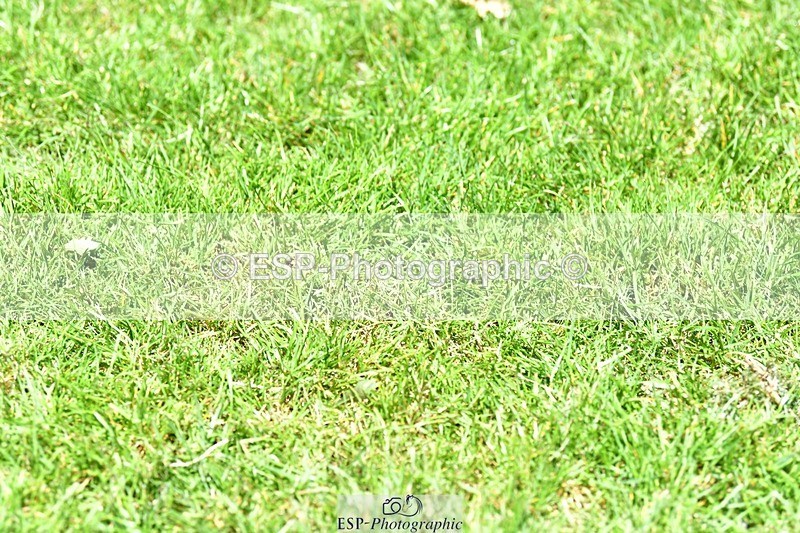 230707-140517-08203 - Cls 13 Newcomers 2nd R