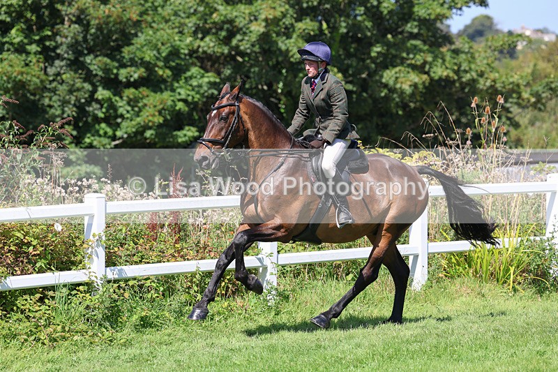 3E7A9016 - Class 6: Open Working Horse