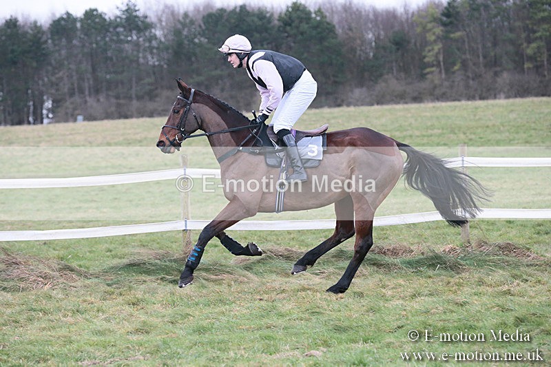 PtP 230119 300 - Royal Artillery Point-to-Point  - Larkhill  - 26/01/19
