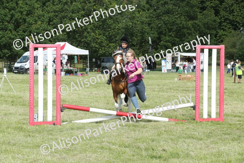 20260614-0154 - Class 1 - 30cm Lead Rein