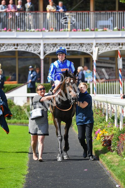 150723-Race 3-Pride of America-0334 - Race 3 3.10pm John Smith's Cup Handicap