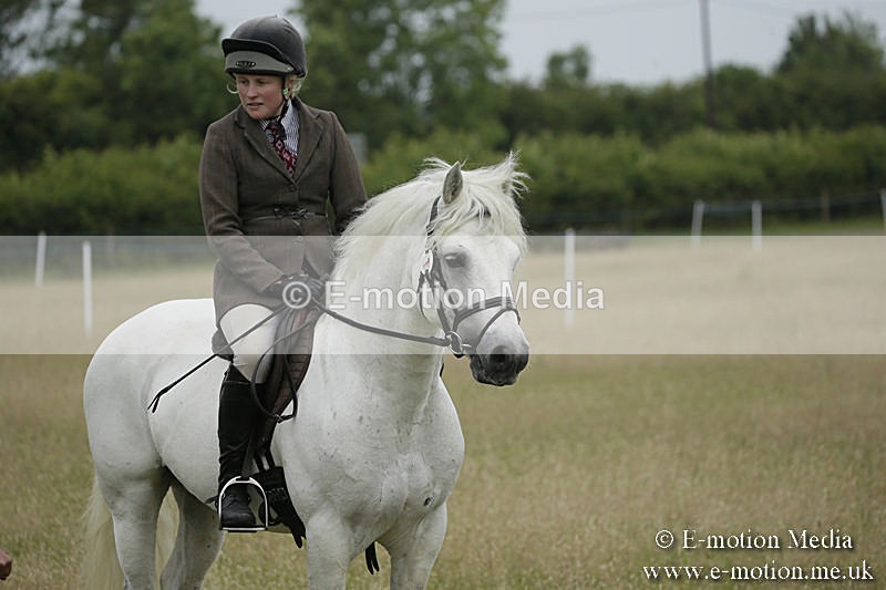 B230619-0106 - Bourne Valley Riding Club Summer Show 23/06/19