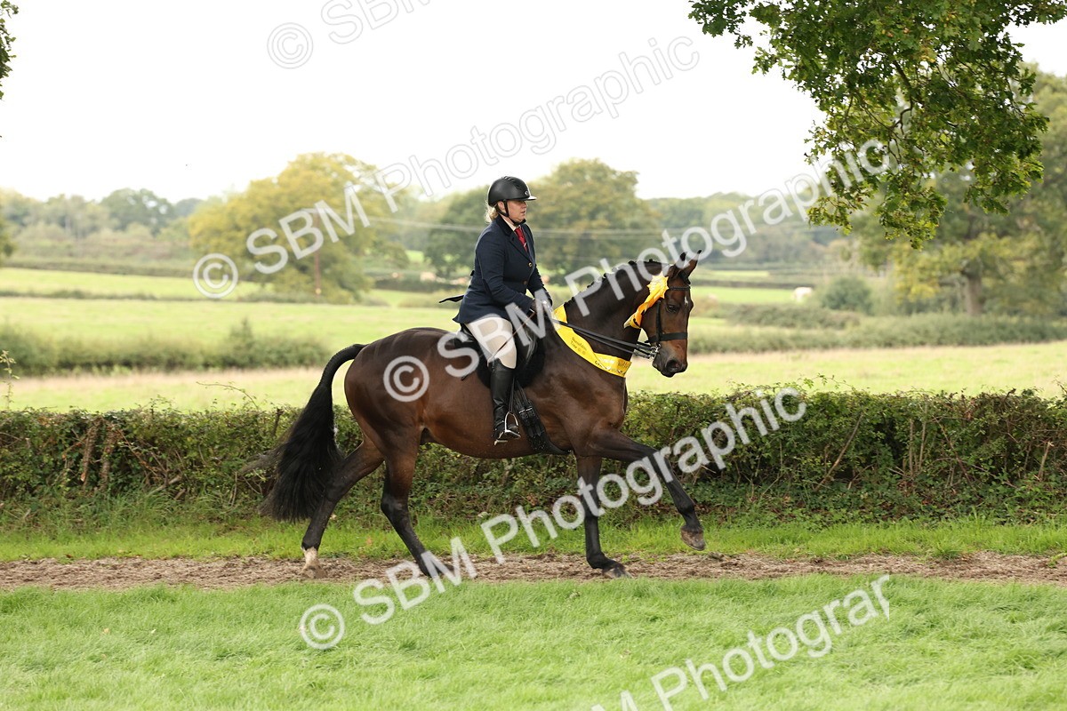 SBM_66413 - S66 - Hunter Ridden