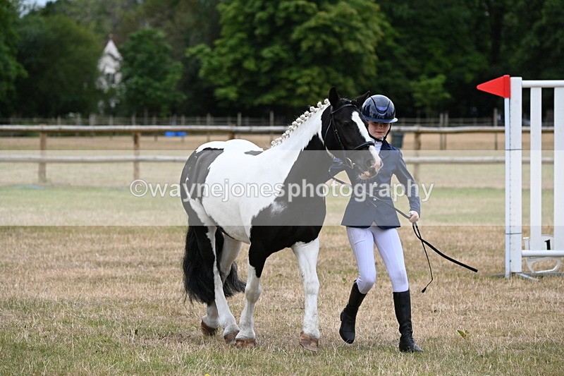 WJ6_4394 - Class 10 Coloured In-hand