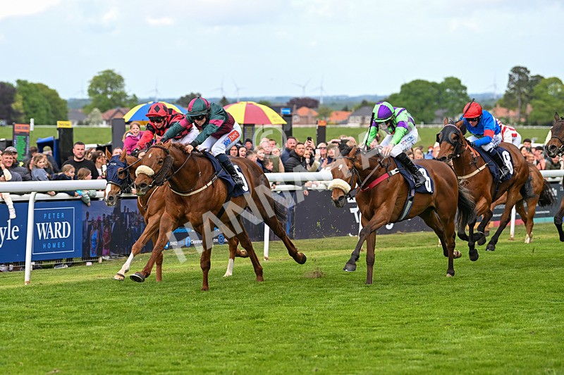 050525-Race 6-Copper And Five-5234 - Race 6