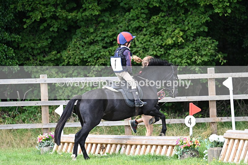 WJ7_0943 - 40cm Time 11:28 to 11:53