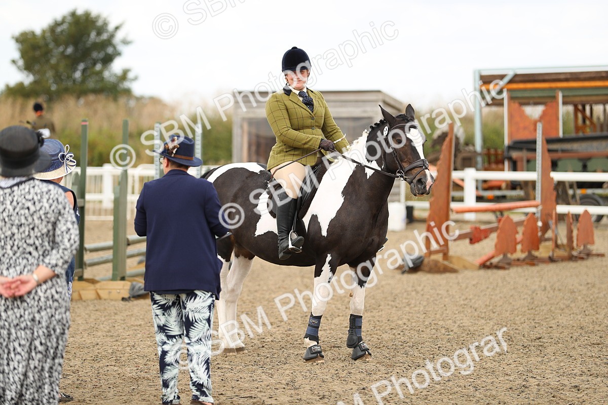 SBM_05179 - Class 47b Style & Performance 60cm (20+)