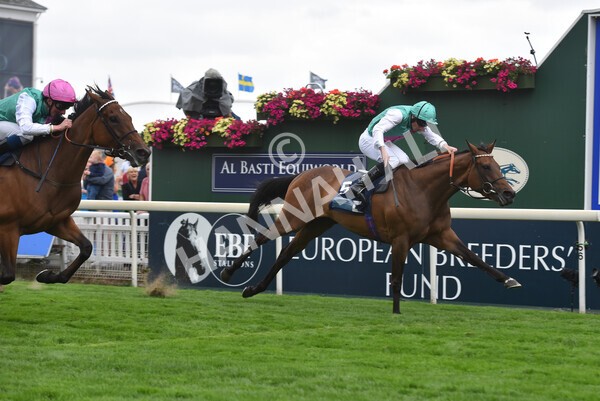 yr18082022r5-30 - Race 5 4.10pm British EBF & Sir Henry Cecil Galtres Stakes