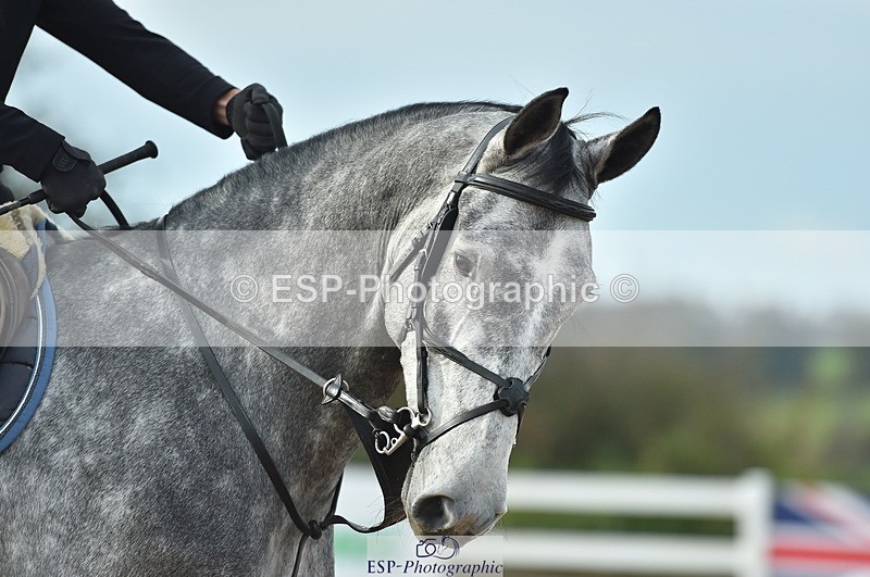 231111A-121404-01772 - Cls 12 Newcomers & 1.10m Open