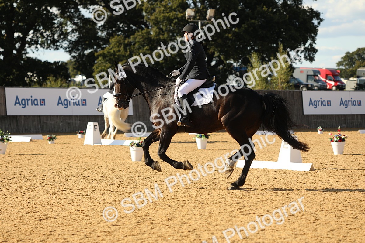 SBM_26932 - D17 - Grand Tour Championship - Novice 27