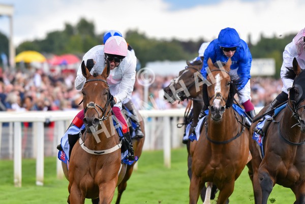 260823-Race 4-Absurde-0926 - Race 4 Sky Bet Ebor Handicap
