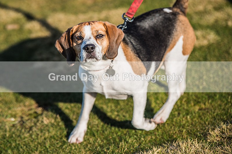 Sale Fell-122 - Sale Fell Race Saturday 25th November 2023