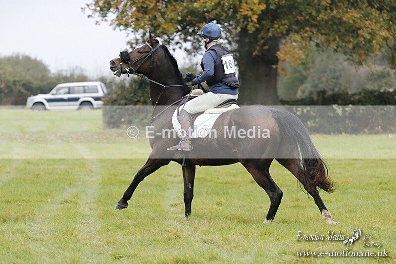 WWHT 181020 WWHT 181020 393 - WWEC Open Novice (0.80m) 18/10/20