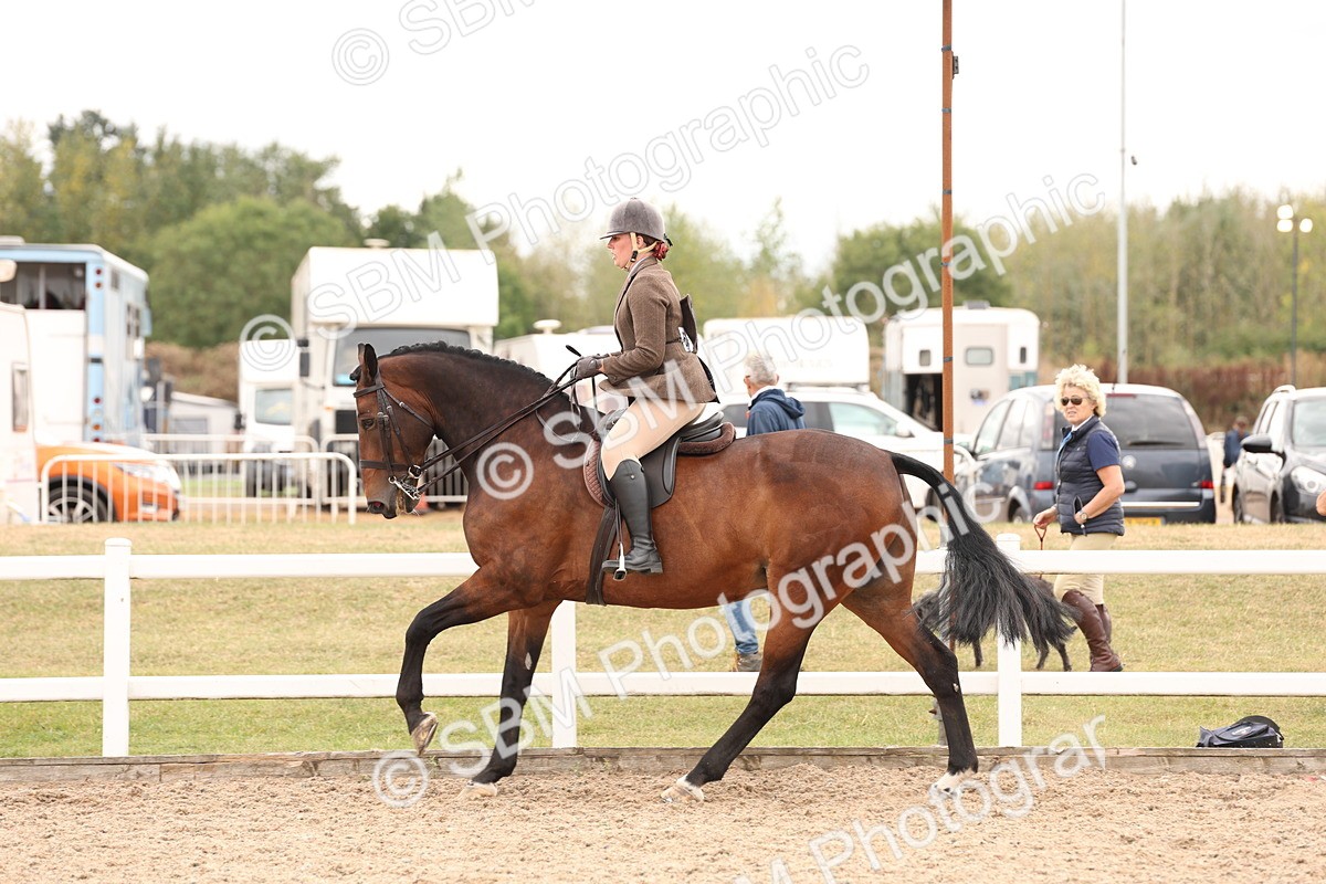 SBM_17237 - Class 213 - Ridden Hunter - Large