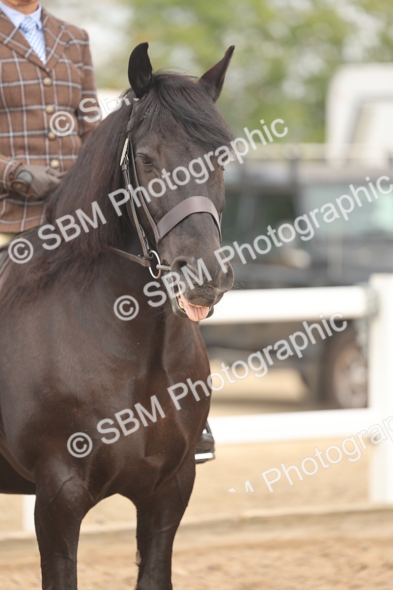 SBM_01974 - Class 14 - Ridden M&M Wildcard