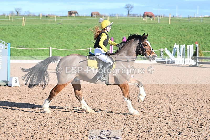 240107A-115716-00580 - AE 80cm