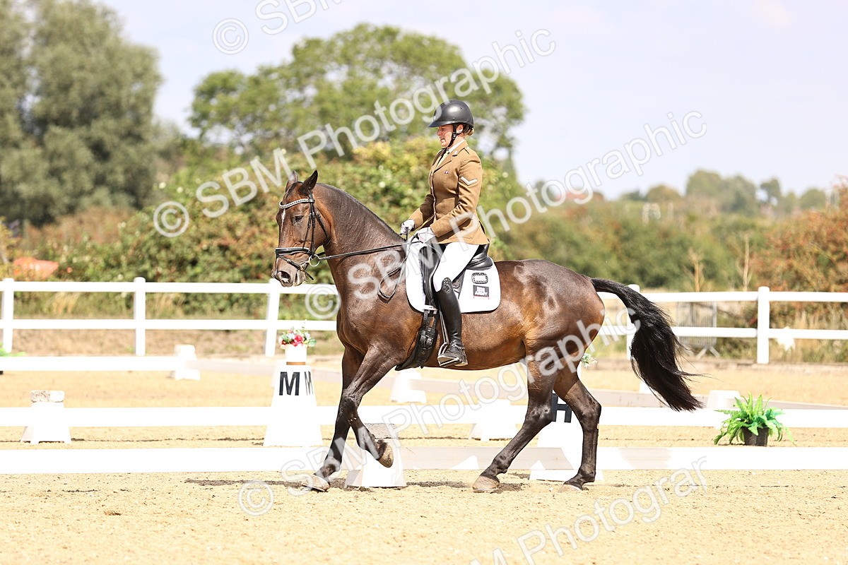 SBM_014959 - Class 6 - Elementary 5