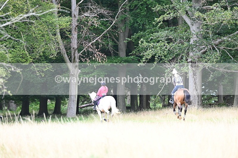 DSC_7216 - Time at Statue 12:45 to 13:15