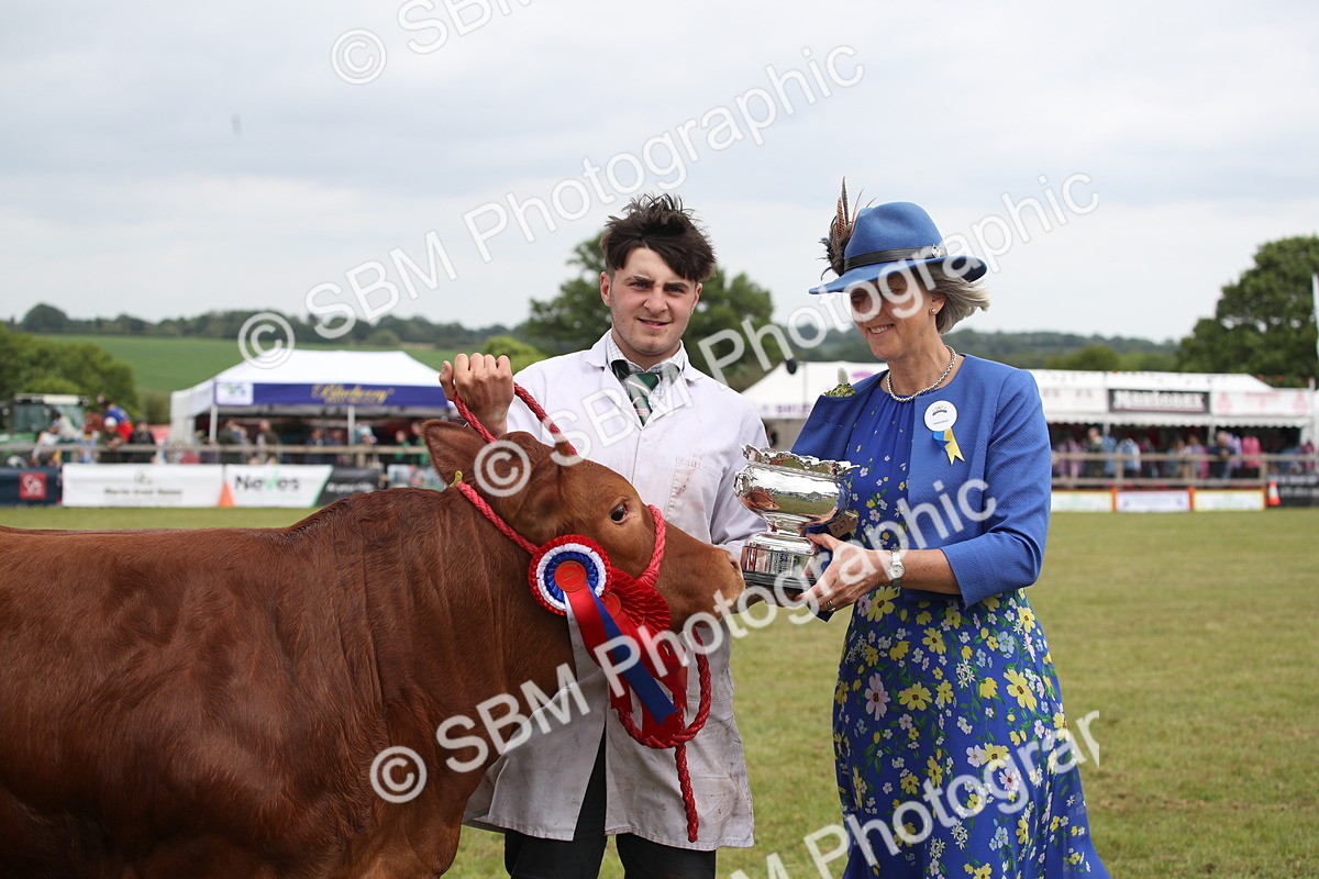 SBM_07937 - Grand Parade