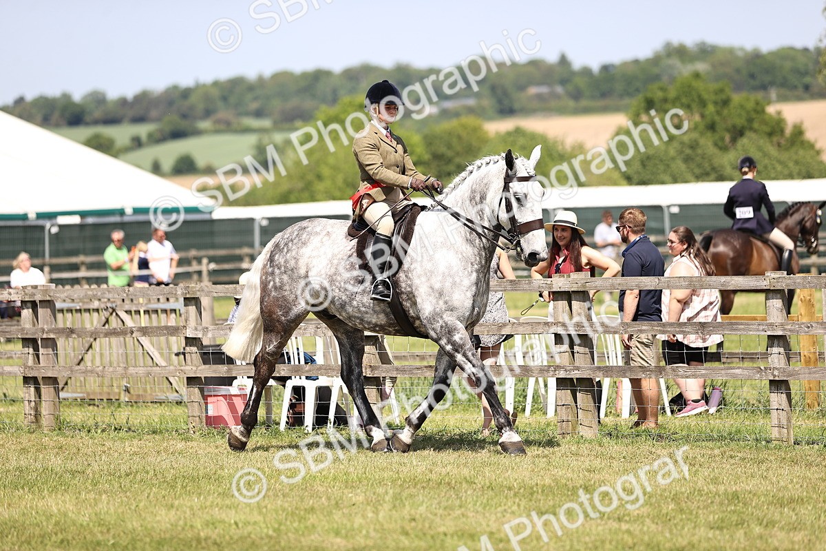 SBM_16201 - Class 79-80 - LIHS BSHA Rising Star Ridden Hunter