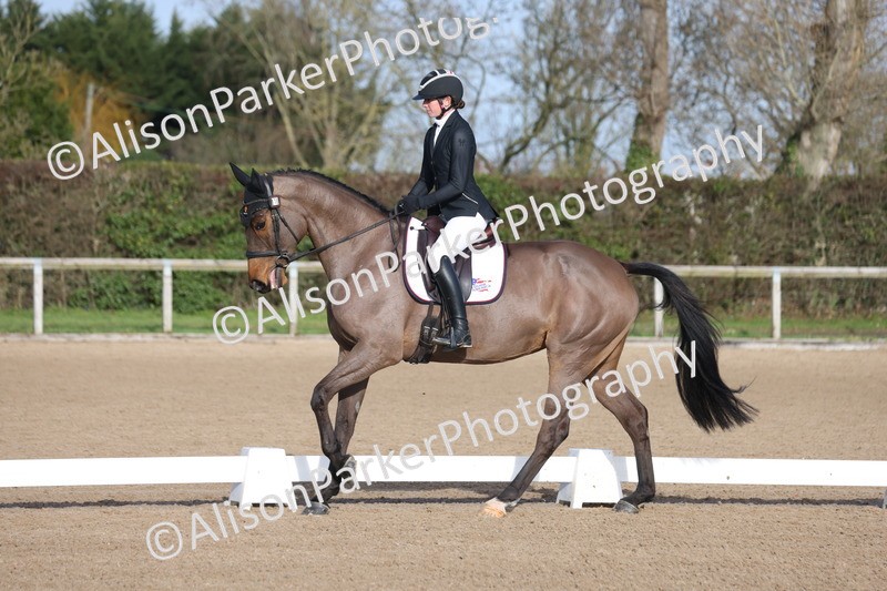 20260128-0349 - Class 3 - Novice 4