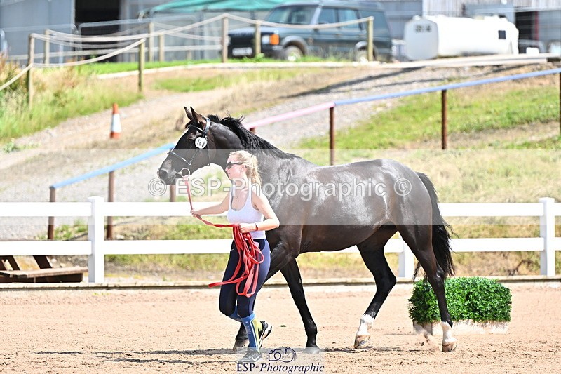 240718A-105242-01058 - Trot Up 11am to 12pm