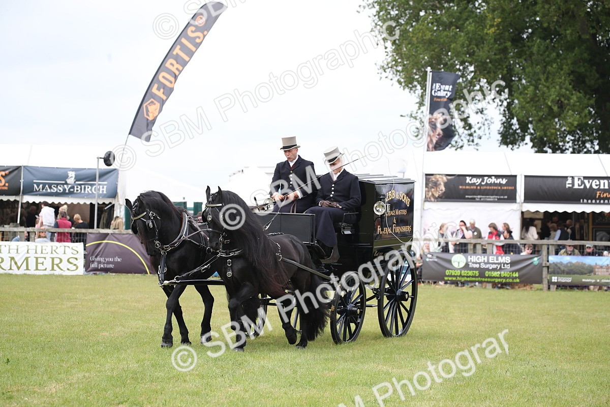 SBM_06991 - Class 16 - Light Trade