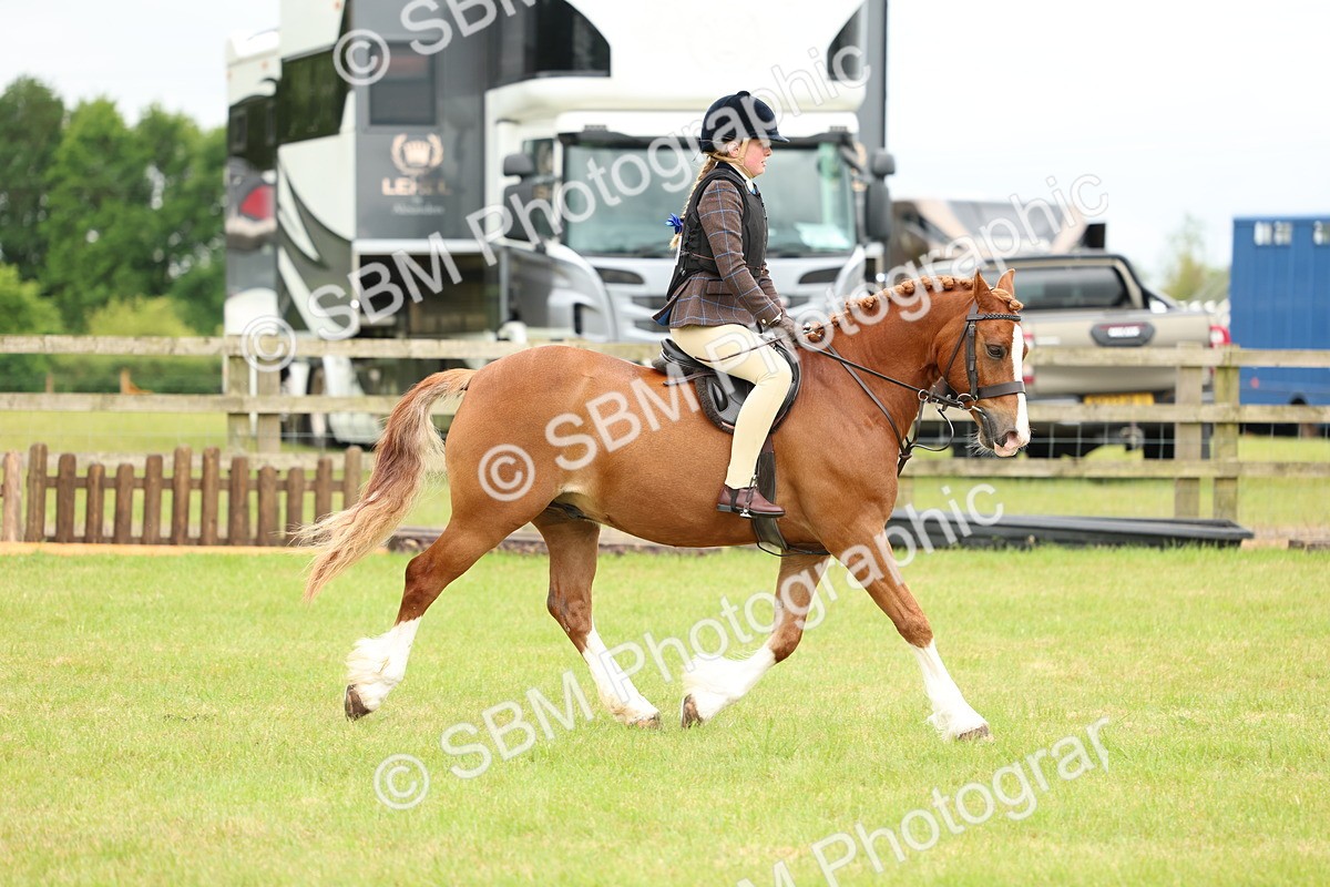SBM_10341 - Class 44-45 - LIHS BSPS Open Nursery and Cradle Stakes