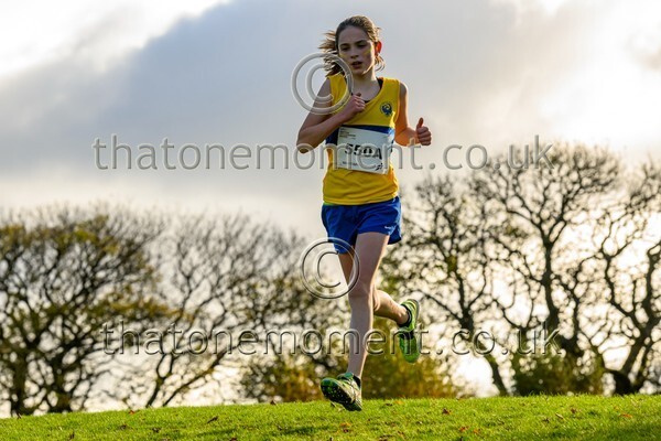 NatRel25-913376 - Young Female Set One