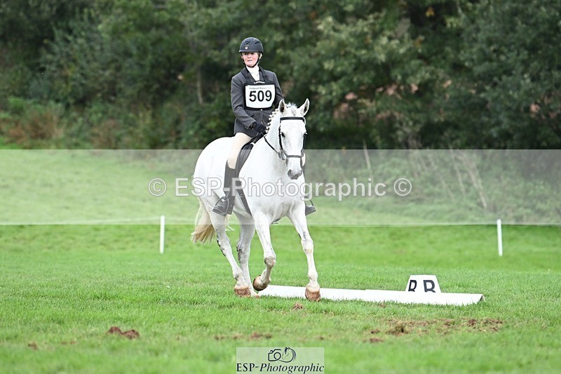 231020-155405-11307 - 509-WOODLANDS.SILVER.CLOUD-Karen.Cowling-DR