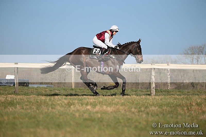 PtP 230219 396 - Vine & Craven Point-To-Point - Barbury 23/02/19