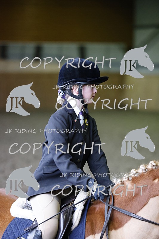 _R6A1379 - Class 1 walk trot 2022