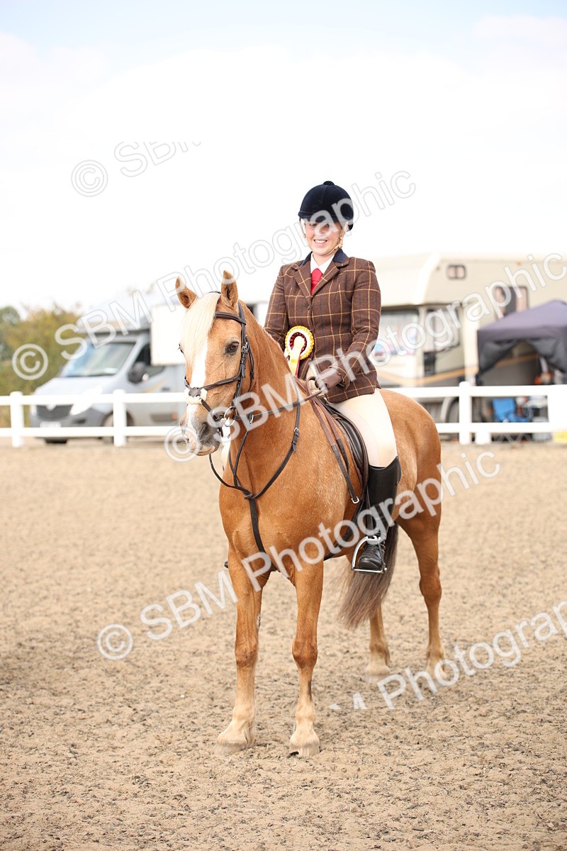 SBM_14376 - Class 407b - Working Veteran 60cm (20+)