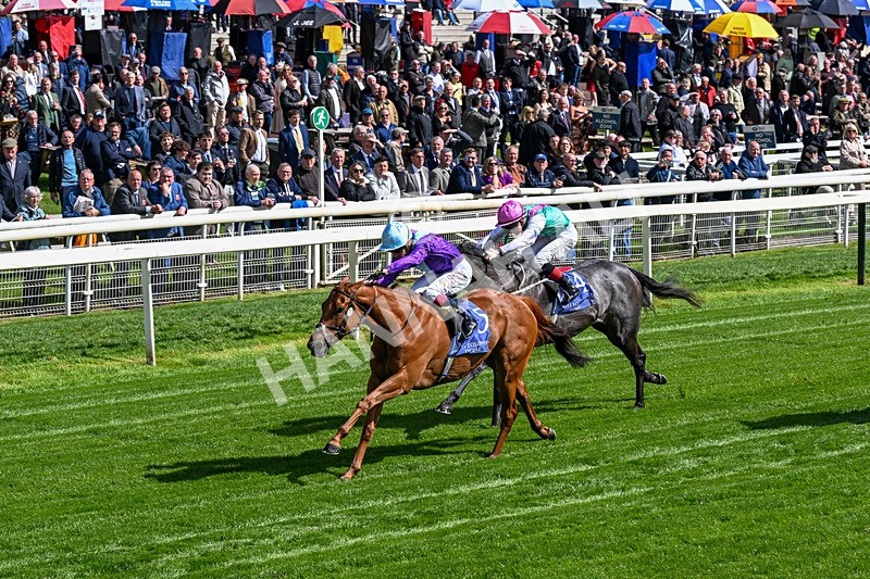 140526-Race 4-See The Fire-0207 - Race 4 3.30pm Al Basti Equiworld Dubai Middleton Fillies' Stakes