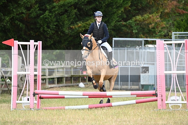 WJ6_9900 - Class 13 Novice Jumping 60cm