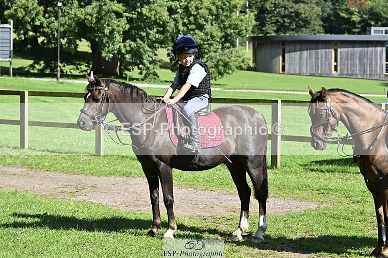 240728B-095016-00200 - Sunday Stable Shots and Fancy Dress