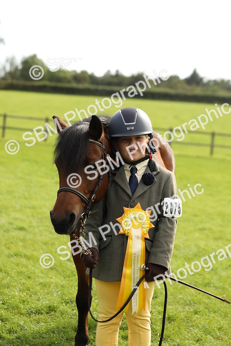 SBM_68742 - S40 - Junior Handler 9-12 Years
