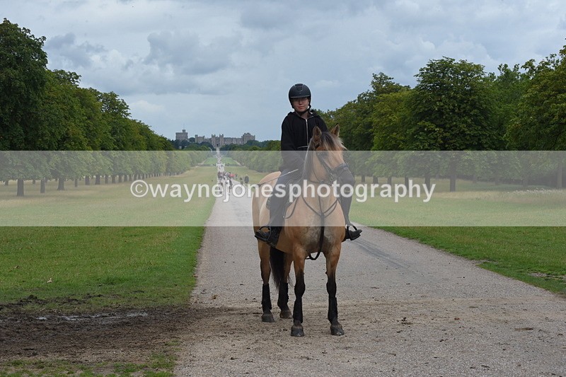 TT3_9878 - Time at Crossing 11:28 to 13:16