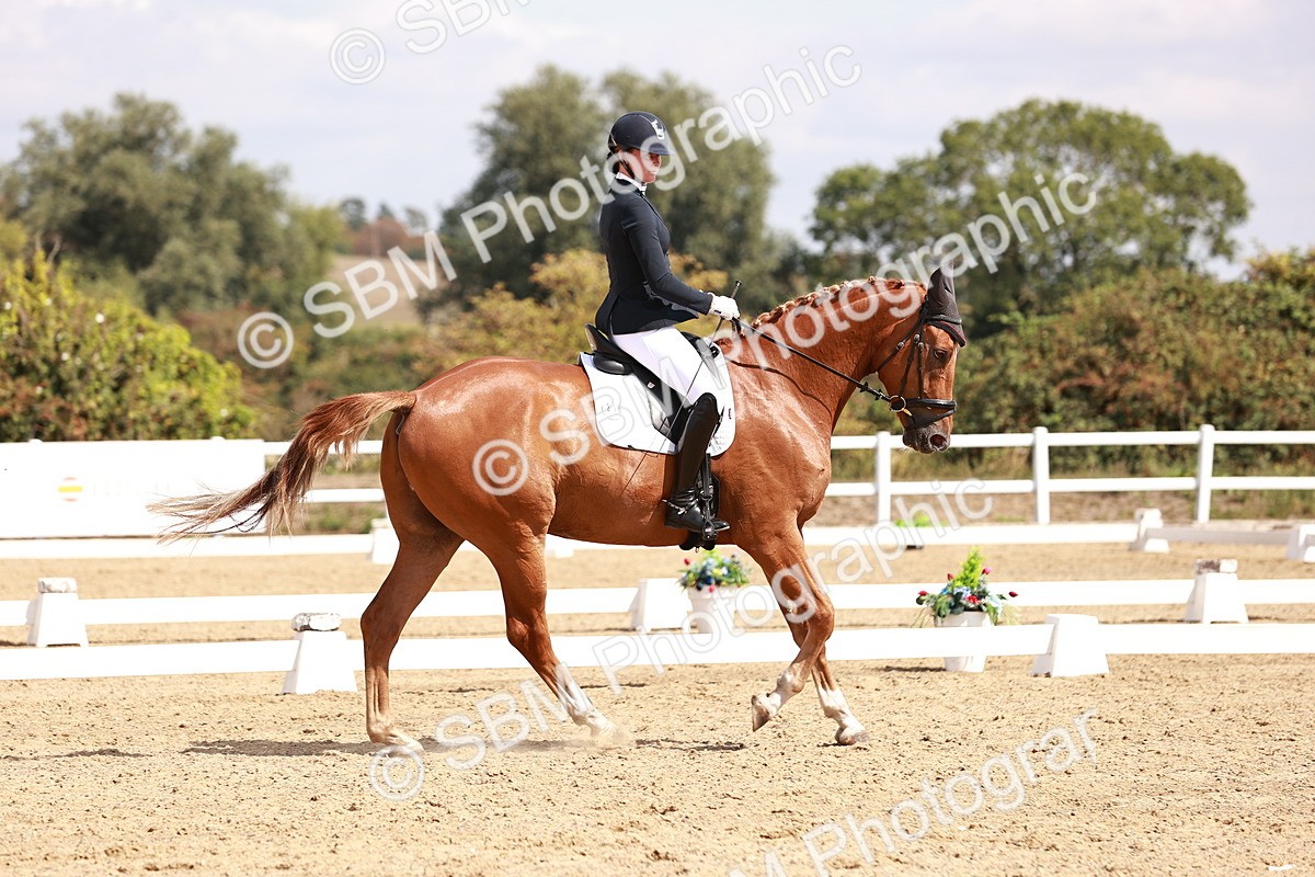 SBM_018473 - Class 17 - Novice 6