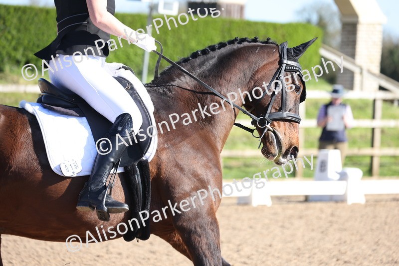 20260318-0865 - Class 8 - Elementary 2