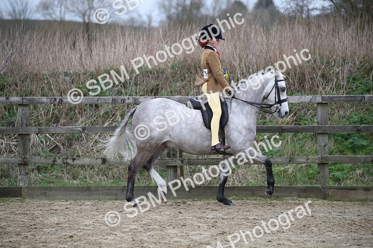 SBM_004696 - Class 5-9 - NPS In Hand-Show Hunter-Intermediate Ridden Inc Ridden Championship