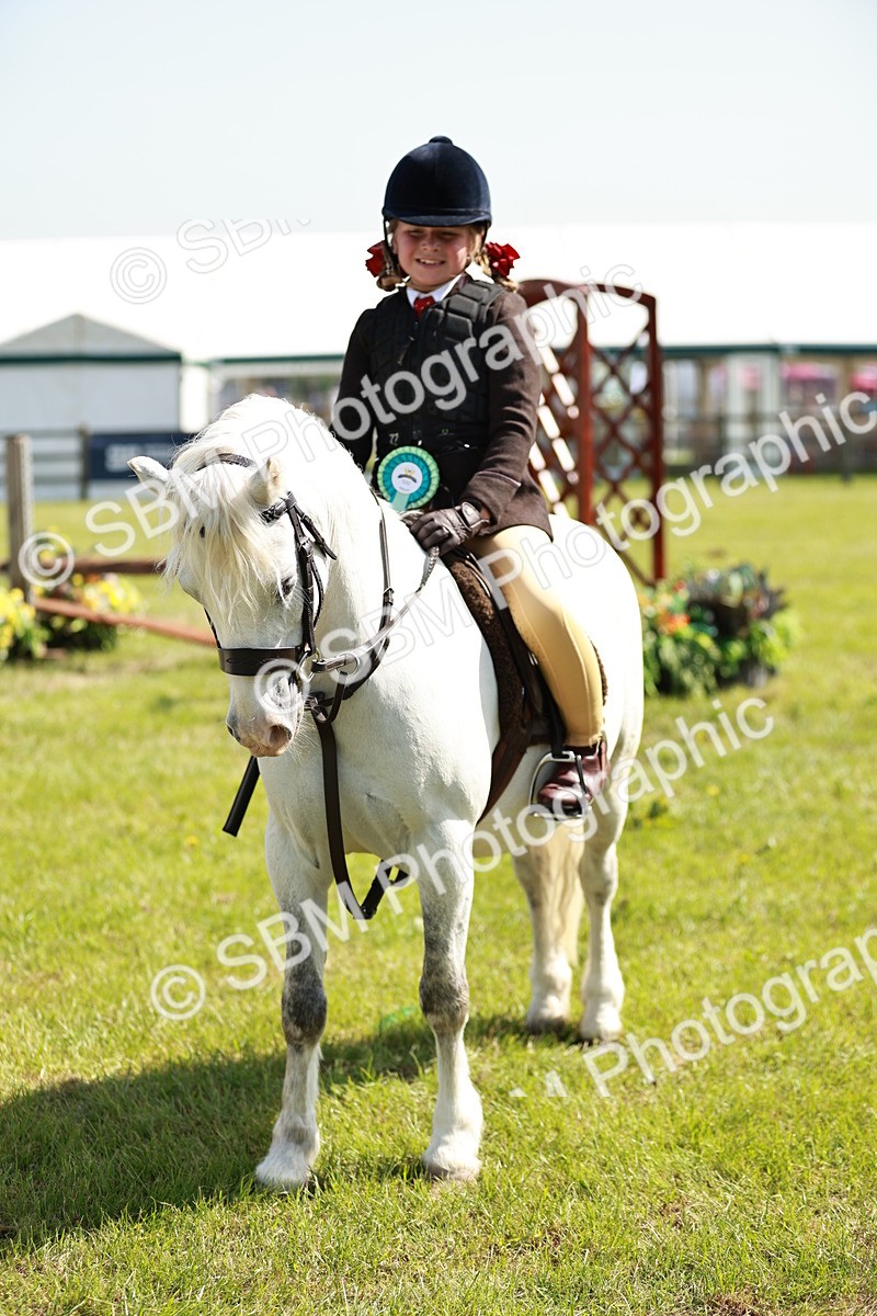 SBM_12823 - Class 106-107 - BSPS LIHS Working Sports Pony