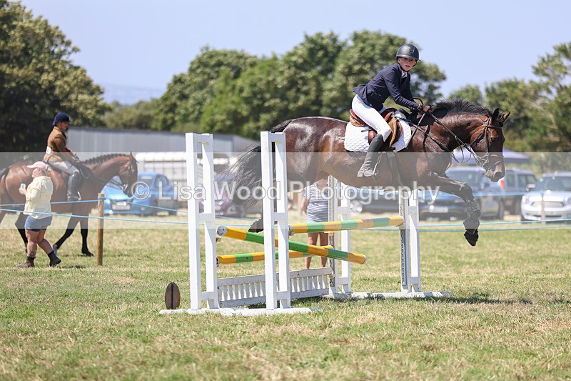 3E7A4463 - Class 10: Senior British Novice/90cm open
