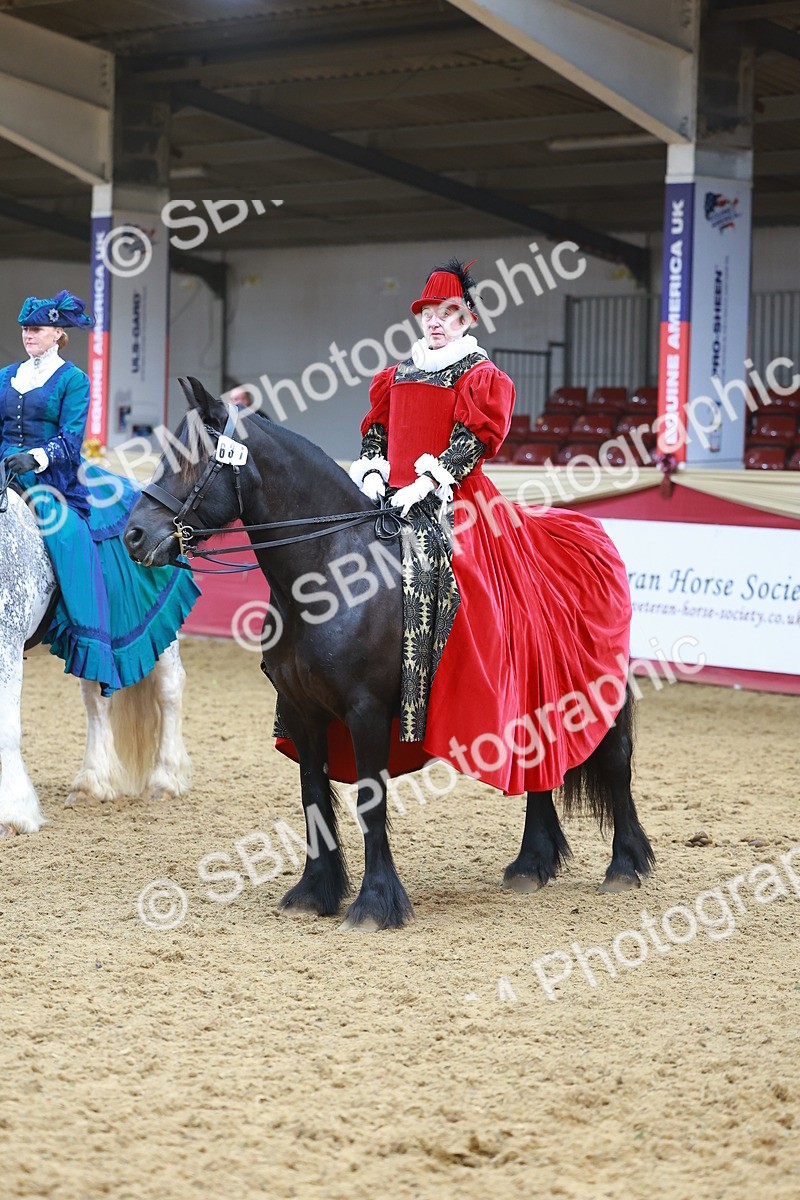 SBM_14013 - Class 107 - Ridden Costume = Astride Adult (15-19)