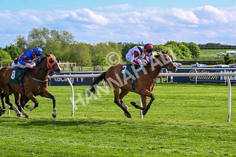 110526-Race 6-Betties Bay-1251 - Race 6 5.00pm Racing Again 21st May Fillies' Handicap
