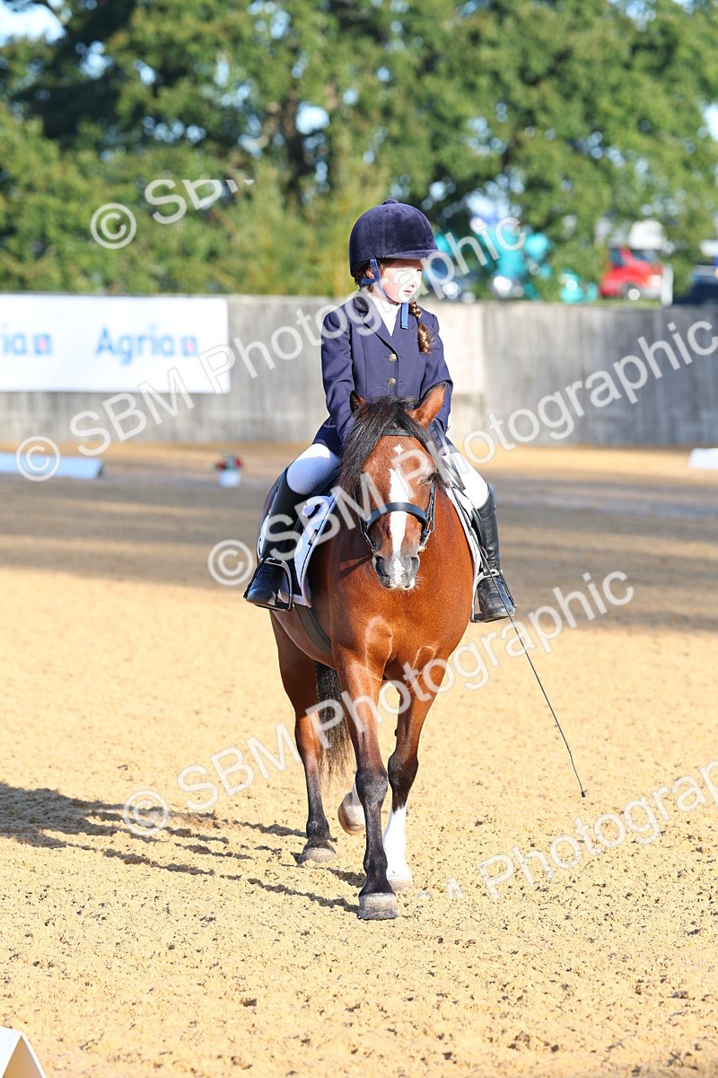 SBM_33516 - D26 - Test Starter Test 1