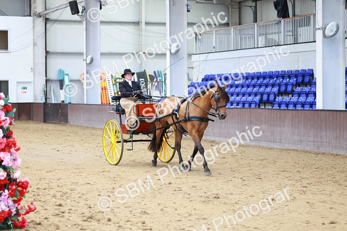 SBM_001051 - Class 15 - Open Showmans Class