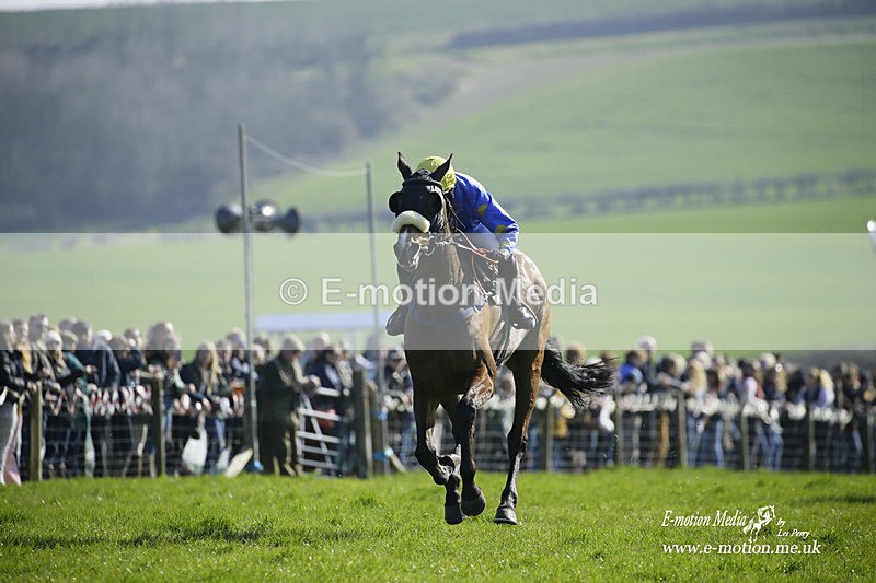 PtP 190322 518 - Wilton Hunt PtP Milborne St Andrew 19/03/22