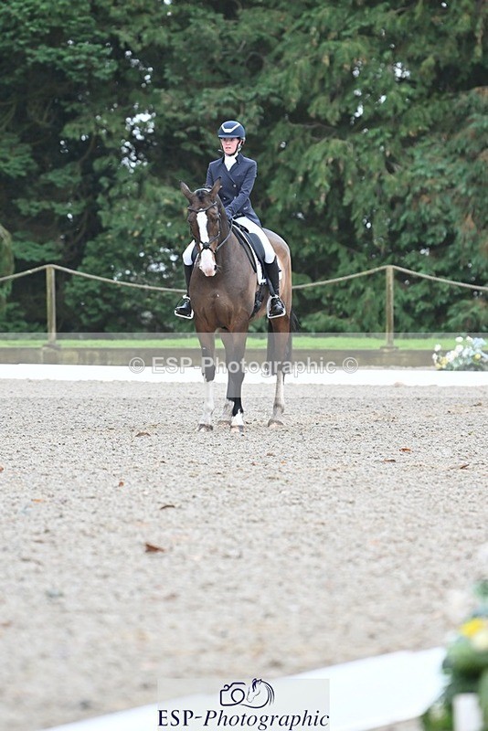 231019-104925-01983 - 103-BEECH.HILL.KIKO.CLOVER-Harriet.Blair-DR